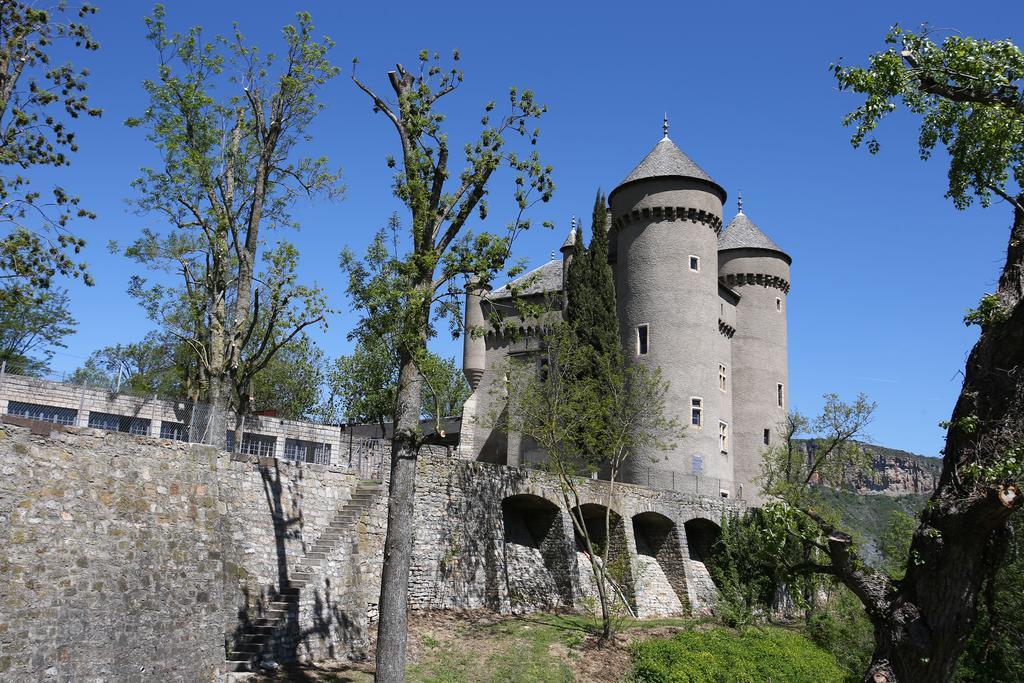 Chateau De Lugagnac Rivière-sur-Tarn Eksteriør billede