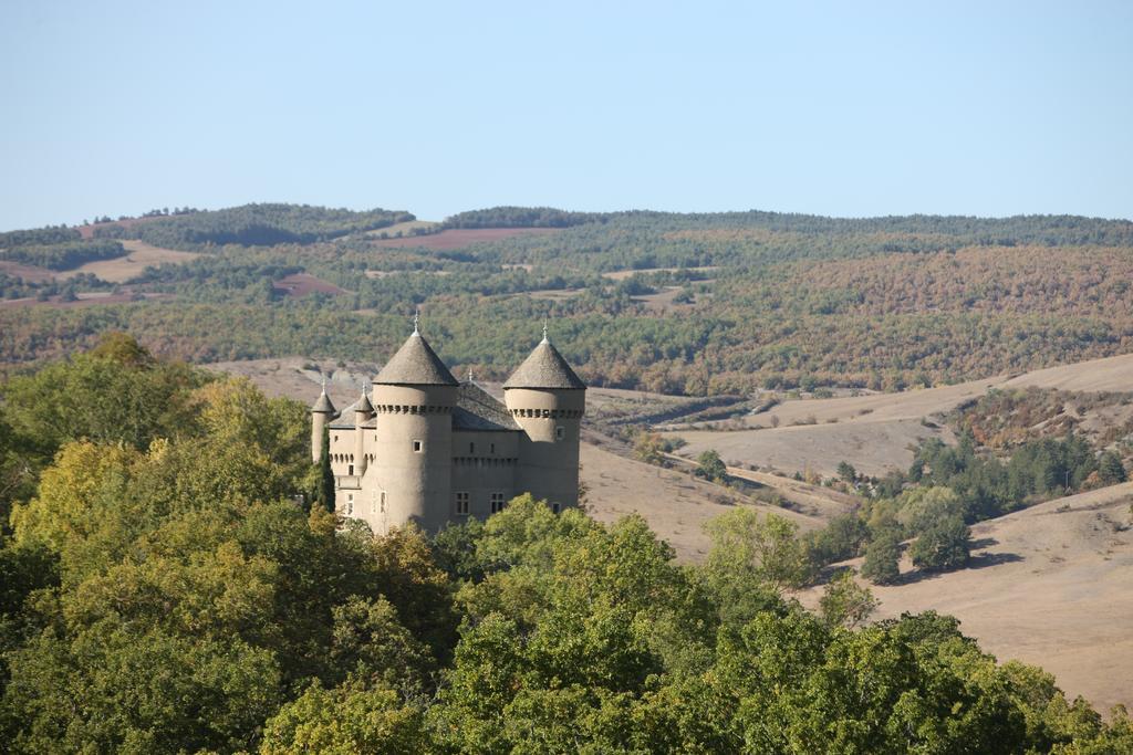 Chateau De Lugagnac Rivière-sur-Tarn Eksteriør billede