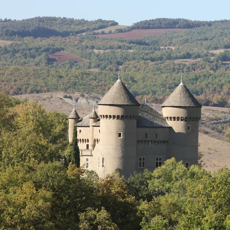Chateau De Lugagnac Rivière-sur-Tarn Eksteriør billede